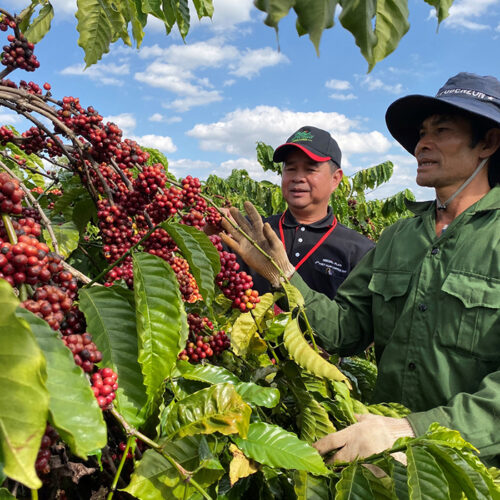 Vietnam & Cambodia Agriculture Tour